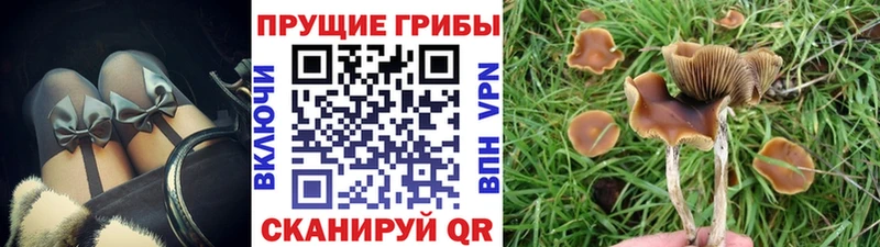дарнет шоп  Джанкой  Псилоцибиновые грибы Magic Shrooms 